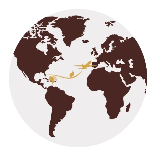 international shipping logo international shipping logo